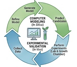 In Silico to In Vivo Validation Loop